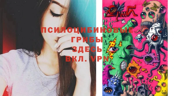 эйфоретик Баксан