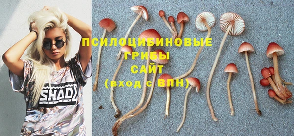соль ск Балахна