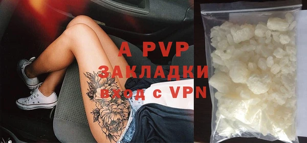 эйфоретик Баксан