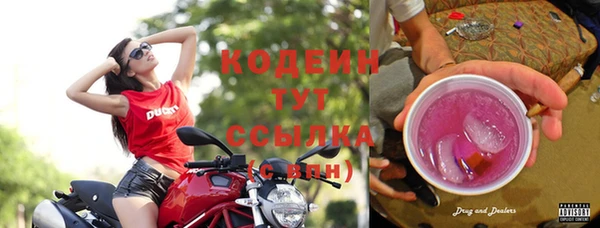 эйфоретик Баксан